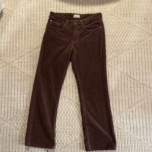 Pilcro Brown Corduroy